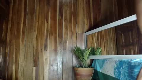 D.C online show from 2, 10, 2025