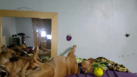 demivercetti online show from 22, 12, 2025