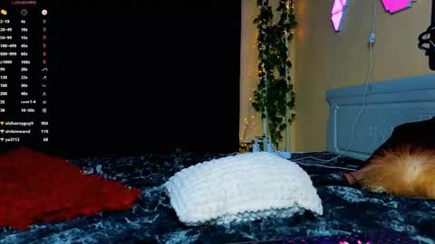 Demmi online show from 15, 2, 2025