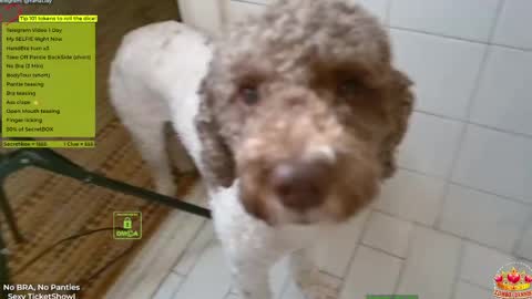 Yana online show from 14, 4, 2026