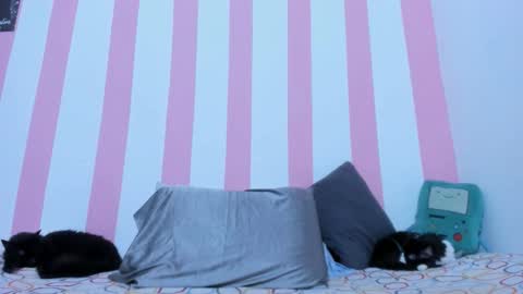 Johana online show from 17, 3, 2026