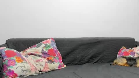 Snapshot of devinesex chatting on 3, 2, 2025 Misha online show from 3, 2, 2025