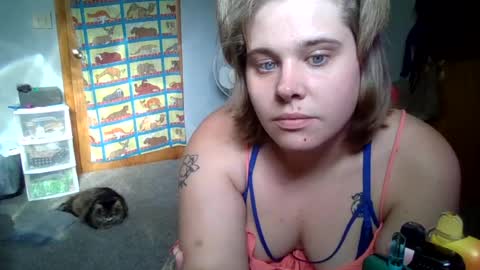 devykitten online show from 2, 7, 2026