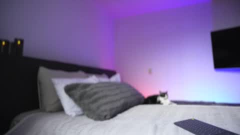 Diego online show from 26, 11, 2025