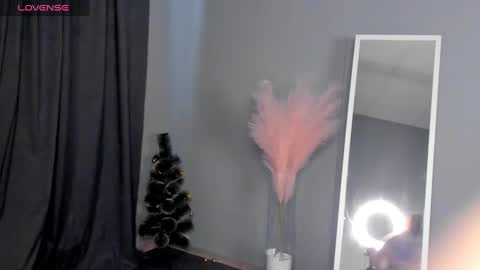 Snapshot of dianne_davis chatting on 30, 1, 2025 Dianne online show from 30, 1, 2025