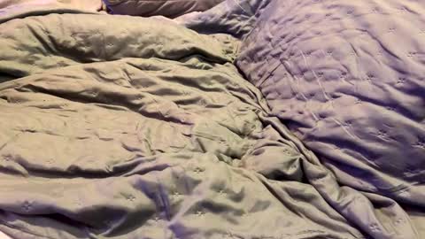 Snapshot of dicapri91 chatting on 17, 1, 2025 dicapri91 online show from 17, 1, 2025