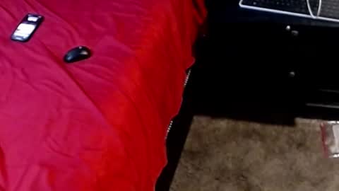 Sparkx online show from 28, 9, 2025