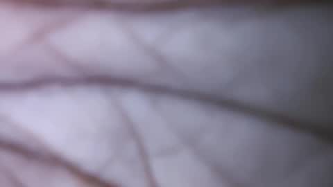 Dick balls online show from 1, 12, 2024