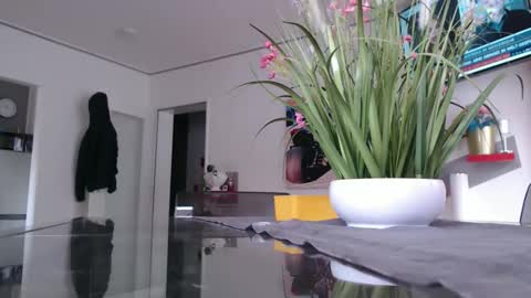 Snapshot of didiegal1 chatting on 2, 2, 2026 squirtcock online show from 2, 2, 2026