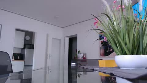 Snapshot of didiegal1 chatting on 10, 2, 2026 squirtcock online show from 10, 2, 2026