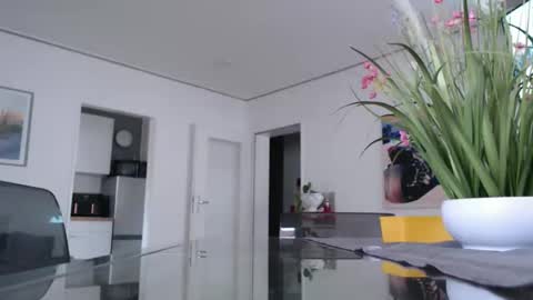 Snapshot of didiegal1 chatting on 11, 2, 2026 squirtcock online show from 11, 2, 2026