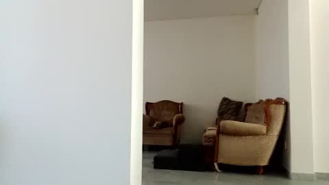 Diego online show from 15, 12, 2024