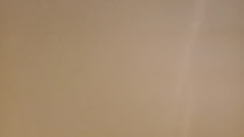 Diego online show from 16, 2, 2025