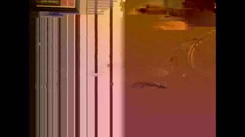 Snapshot of dildosnme22 chatting on 13, 1, 2025 dildosnme22 online show from 13, 1, 2025