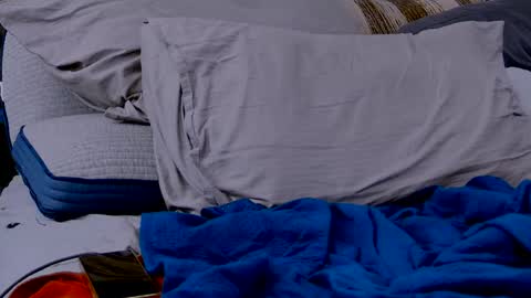 Dilldough405 online show from 2, 3, 2025