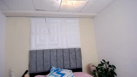 DINA online show from 8, 1, 2026