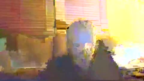 Snapshot of dingleberryjonesmagee chatting on 25, 10, 2025 dingleberryjonesmagee online show from 25, 10, 2025