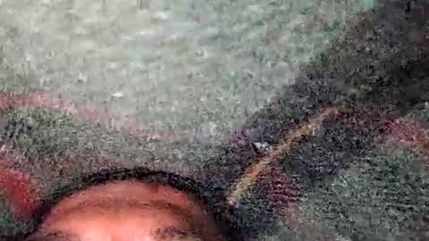 dyno online show from 19, 12, 2025