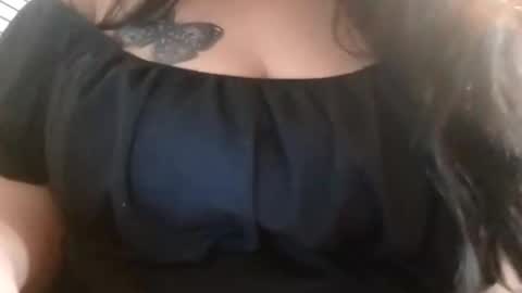 Dinokat online show from 9, 10, 2025