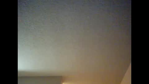 DIPSTIK online show from 8, 12, 2024