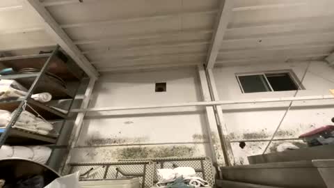 sexyguy online show from 27, 10, 2025