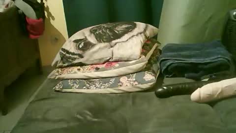 divimi online show from 15, 11, 2025