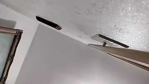 dixonbird41 online show from 11, 2, 2025