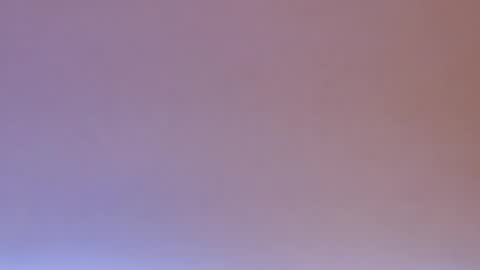 daiki sx online show from 2, 1, 2025