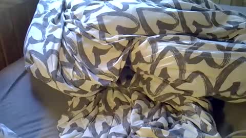 Snapshot of dkdad1966 chatting on 6, 4, 2026 DKdad online show from 6, 4, 2026