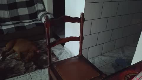 AmigodotadoZL online show from 25, 4, 2026