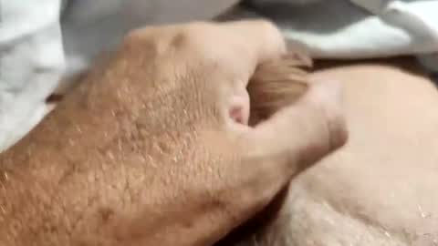 dockydick online show from 14, 10, 2025