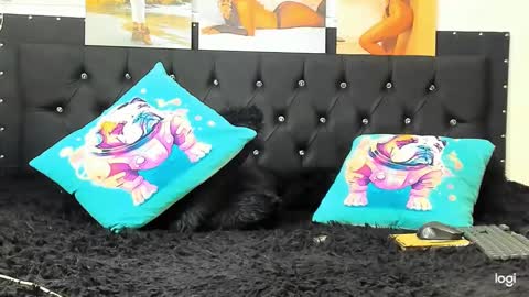 C E L E S T E  online show from 22, 12, 2024