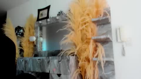 Snapshot of doll_celeste19 chatting on 1, 4, 2026 C E L E S T E online show from 1, 4, 2026