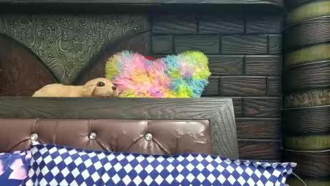 dollmeenu online show from 21, 11, 2025