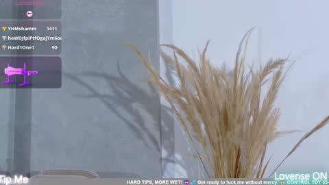 dolly_brownc online show from 8, 2, 2026