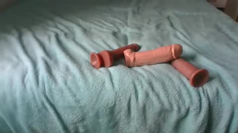 Alzest online show from 30, 11, 2025