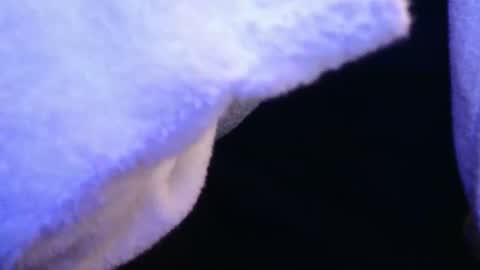 Snapshot of domse999 chatting on 17, 2, 2025 domse999 online show from 17, 2, 2025