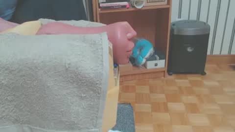 Snapshot of don_r55 chatting on 29, 3, 2026 Don online show from 29, 3, 2026