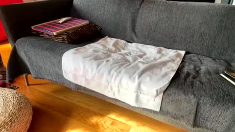 Alfredo online show from 4, 12, 2025