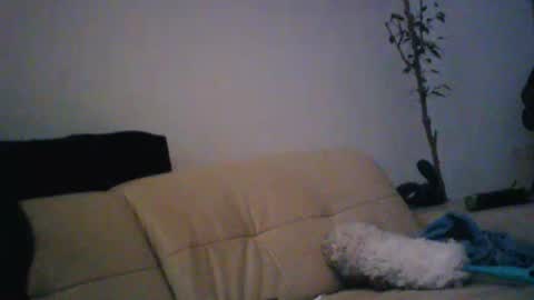 donosus online show from 18, 1, 2026