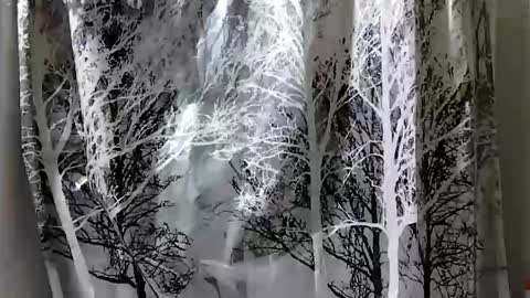 donschlongs online show from 28, 12, 2024