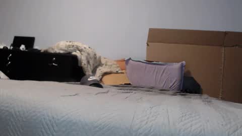 Snapshot of dorato_xxx chatting on 17, 3, 2026 Dorato online show from 17, 3, 2026