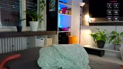 Alice online show from 10, 7, 2026
