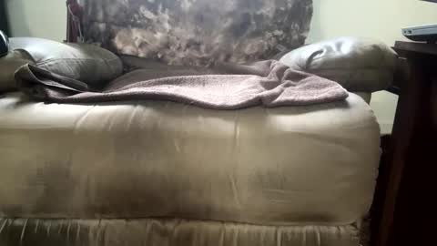 dotcom0062 online show from 15, 11, 2025