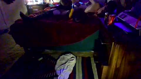 Driver Dick  Kylie Tits online show from 9, 2, 2026