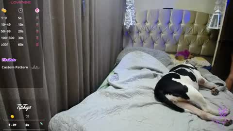Snapshot of dreams_sophi chatting on 16, 7, 2026 Sophia online show from 16, 7, 2026