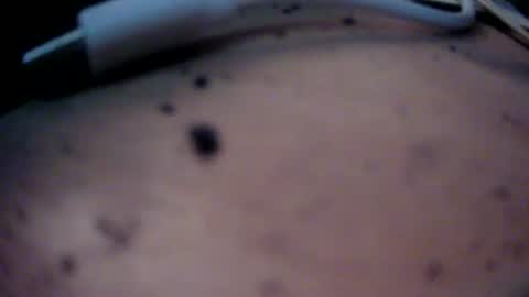 dreamy2020 online show from 22, 1, 2025