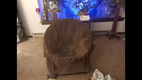 dribblez420 online show from 26, 10, 2025