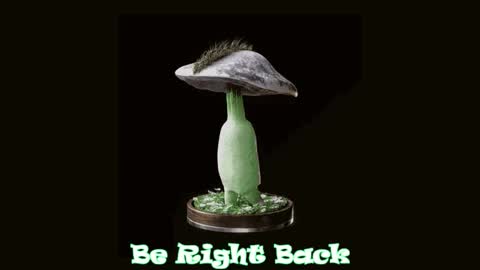 Tara  Sonny online show from 2, 10, 2025