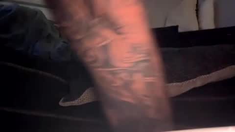 drippinggenie online show from 3, 1, 2025